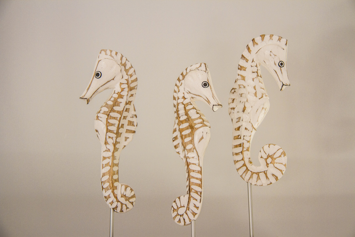 seahorses